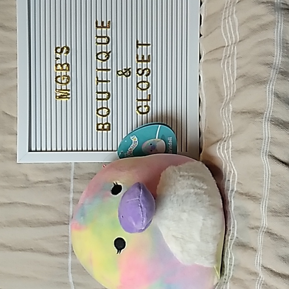 Brindall Original Squishmallows 9 x 9 inches 11.24.2021 Squishdate
